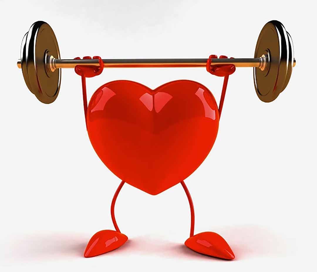 Hệ t&igrave;m mạch v&agrave; tuần ho&agrave;n m&aacute;u cải thiện