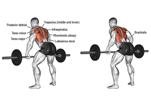 Barbell Row