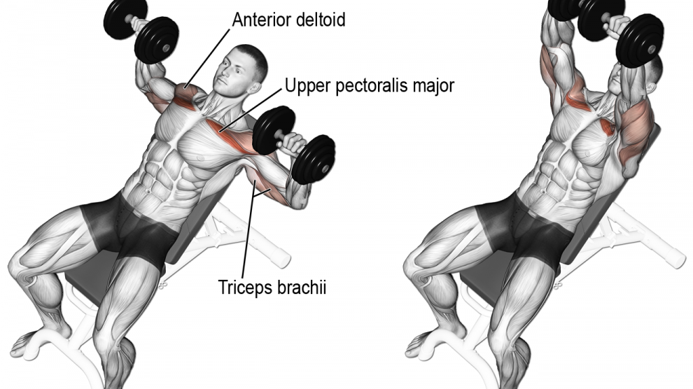 Incline dumbbell press